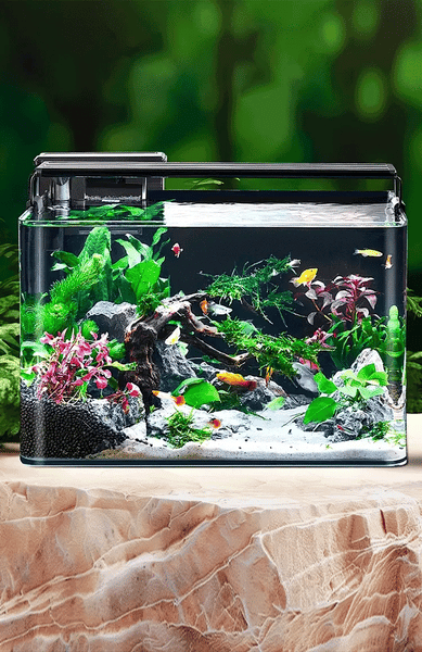 Tabletas clarificadoras de agua para acuario