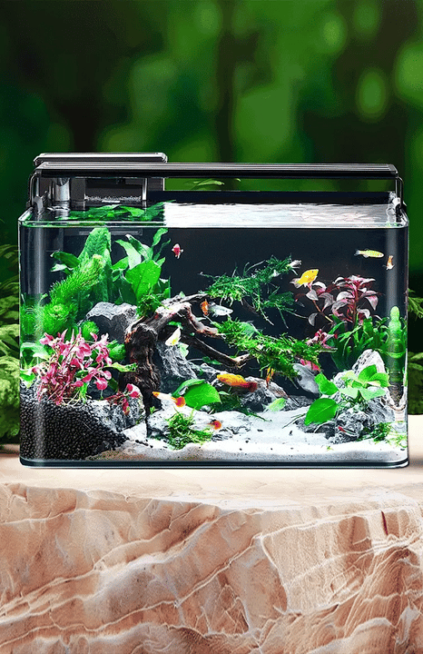 Tabletas clarificadoras de agua para acuario