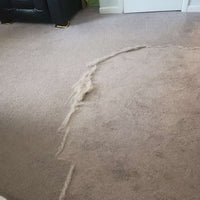 Limpiador CleanMax Pro™