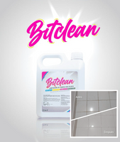 BITCLEAN® LIMPIADOR DE JUNTAS MULTIUSOS