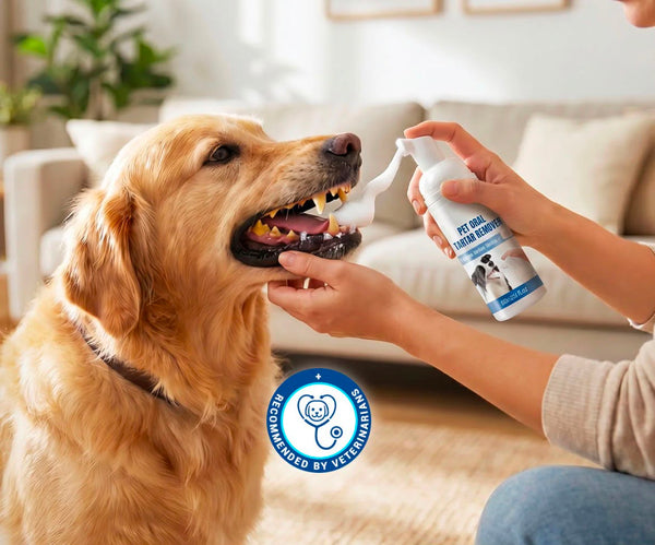 Espuma removedora de sarro para mascotas