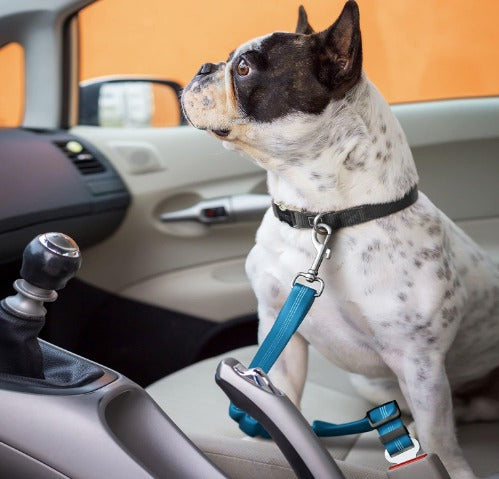 SafePaws™ - CINTURÓN DE SEGURIDAD PARA MASCOTAS